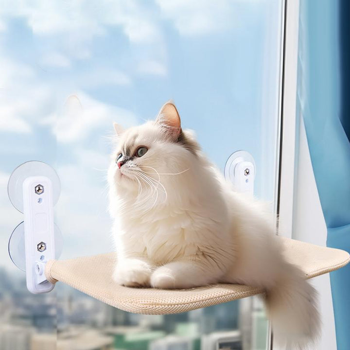 Foldable Suction Cup Hammock For Cats Bowlift
