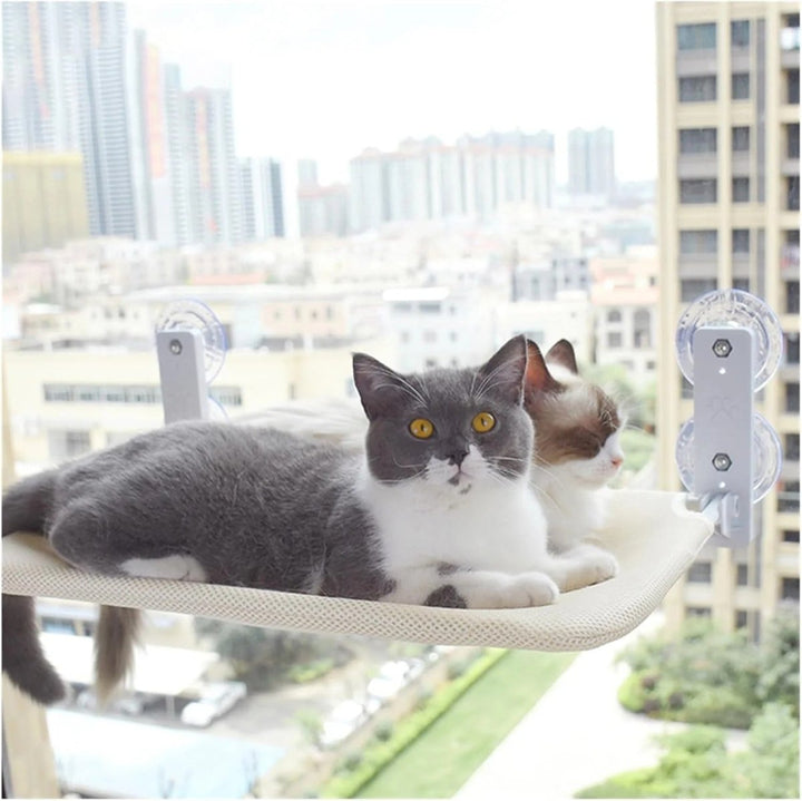 BowLift | PAWPERCH – Foldable Cat Hammock with Wall-Friendly Mount | No-Drill Window Seat