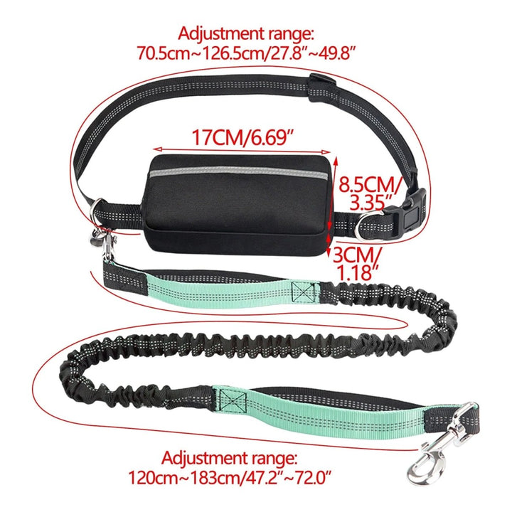 BowLift | PAWRUNNER Freedom Leash – Hands-Free Dog Leash with Padded Handles