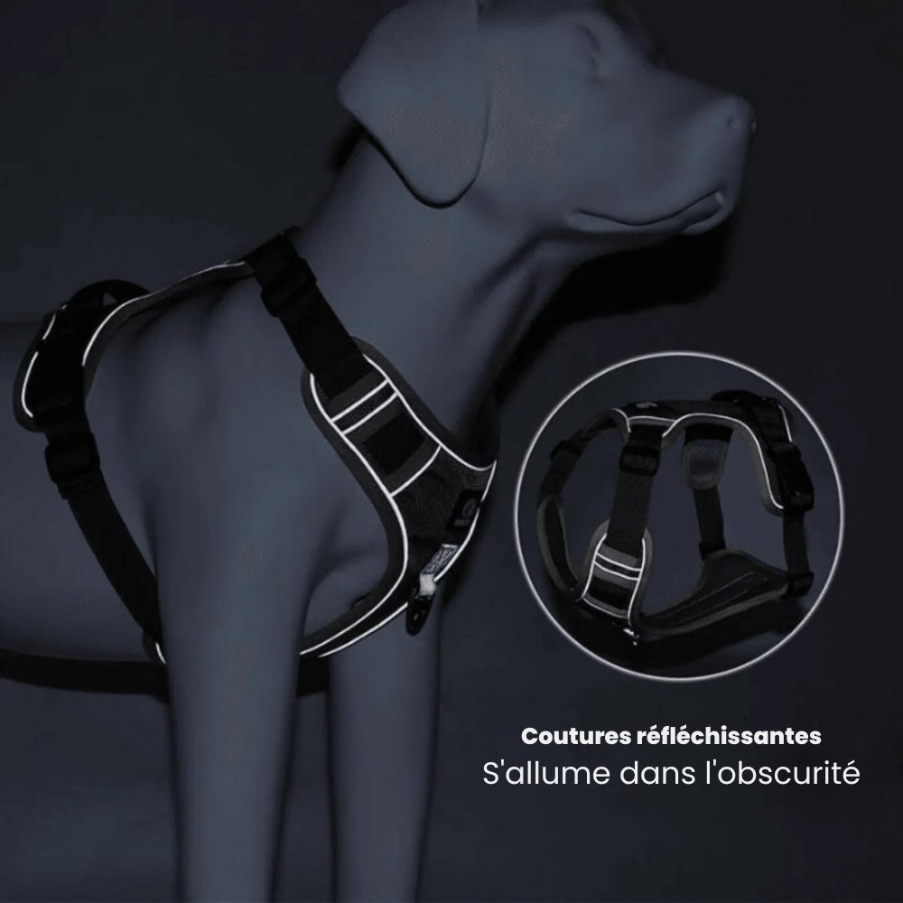 PawsControl - The Ultimate No Pull Dog Harness - No - Pull Dog Harness - BowLift