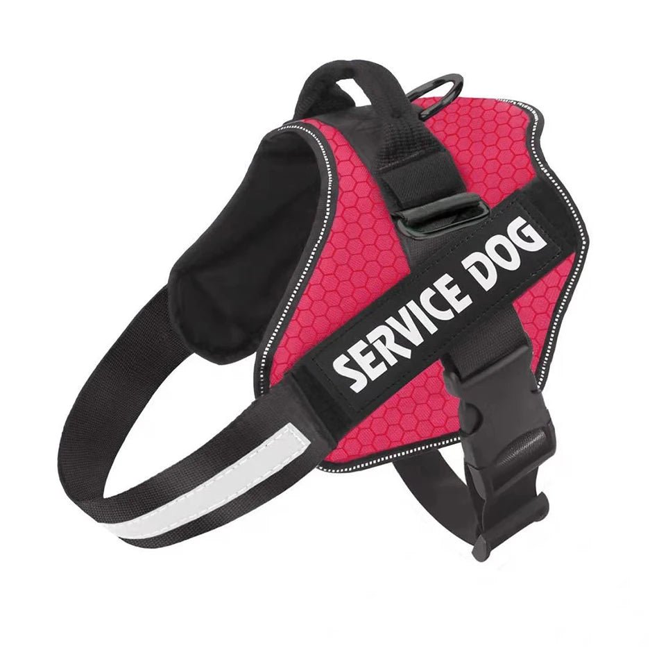 PawsFit • No Pull Dog Harness - No Pull Dog Harness - BowLift