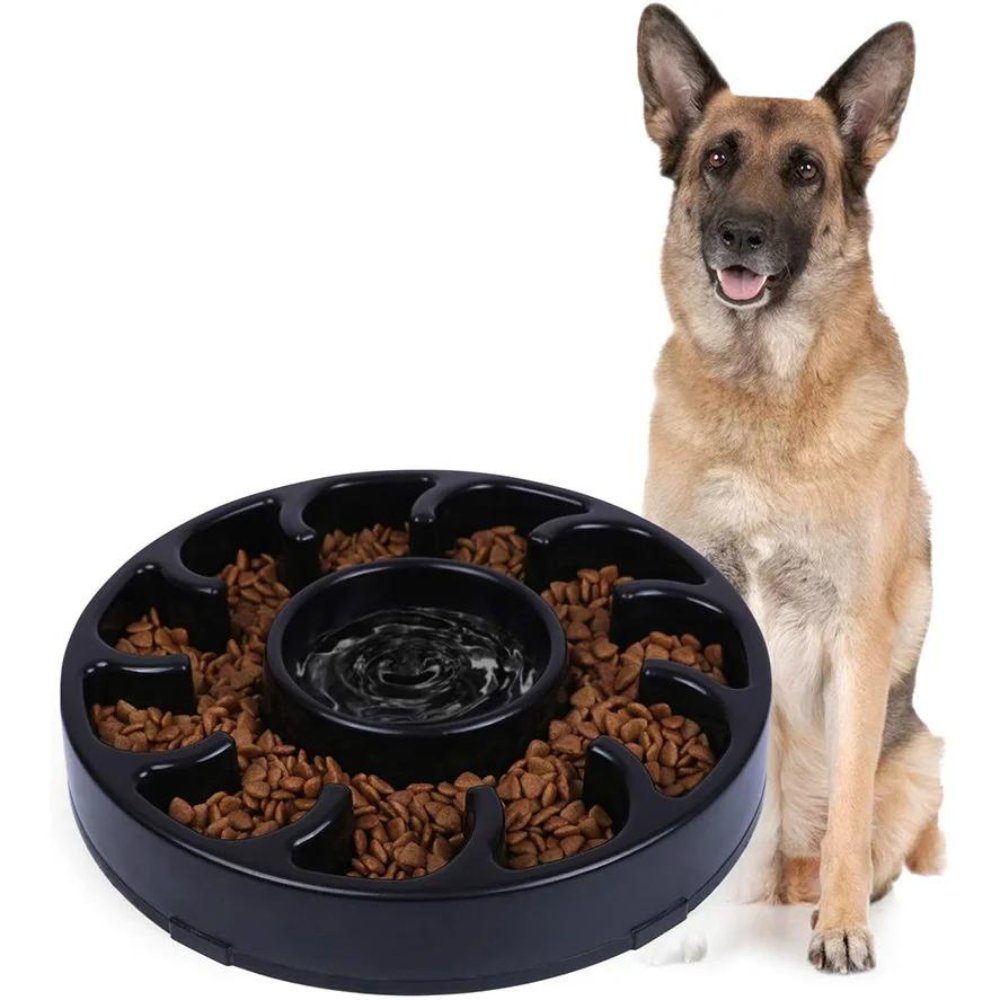 PawSlow • Dog Feeding Bowl Slow - Dog Feeding Bowl Slow - BowLift