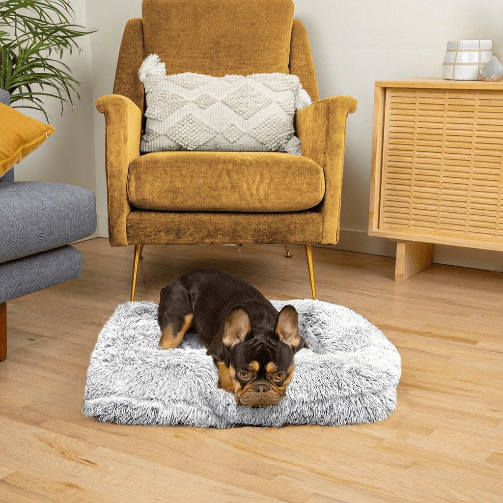 PawsomeRest - The Ultimate Orthopedic Dog Bed - Orthopedic Dog Bed - BowLift