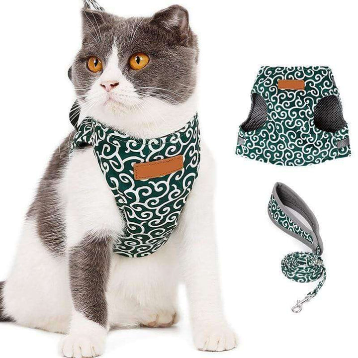 BowLift | PAWVENTURE HARNESS – Cat Harness Vest Set with Breathable Mesh & Leash