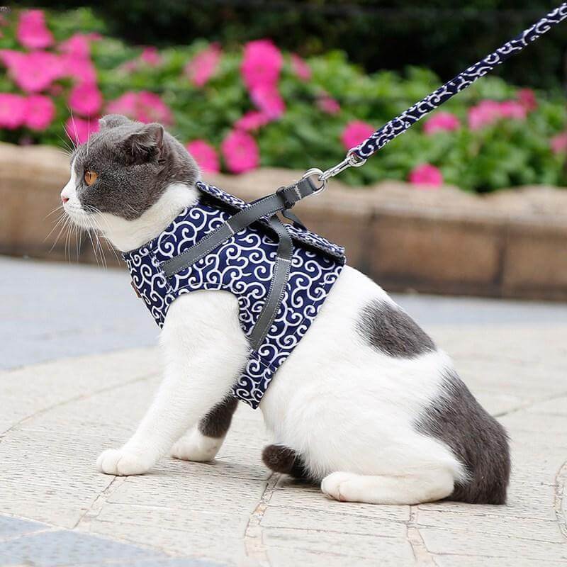 BowLift | PAWVENTURE HARNESS – Cat Harness Vest Set with Breathable Mesh & Leash
