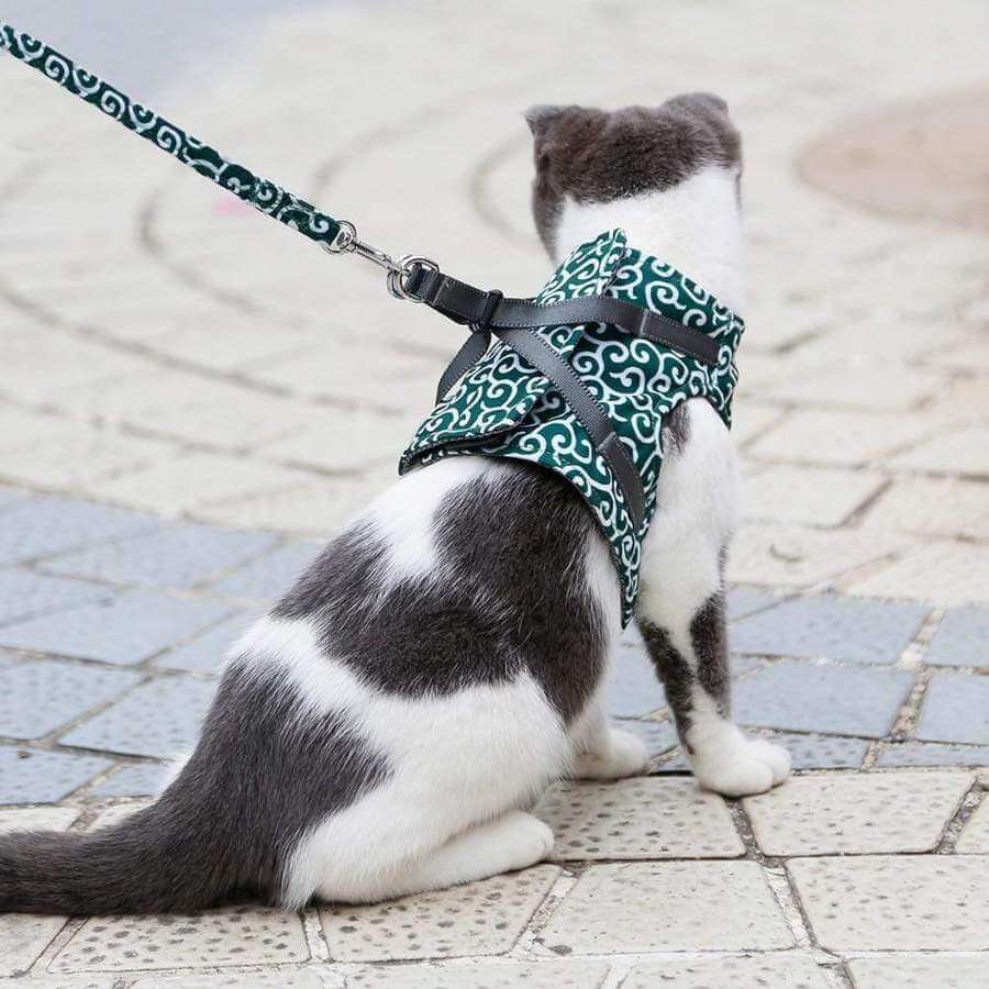 BowLift | PAWVENTURE HARNESS – Cat Harness Vest Set with Breathable Mesh & Leash
