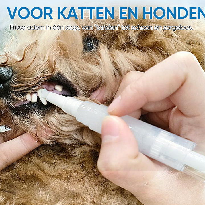 Pet Toothbrush Pen – PetSmile Bowlift