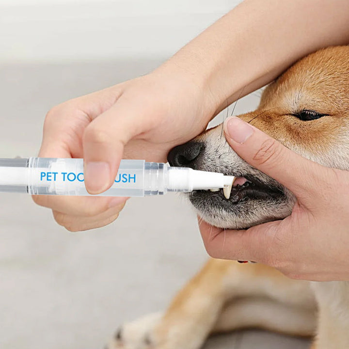 Pet Toothbrush Pen – PetSmile Bowlift