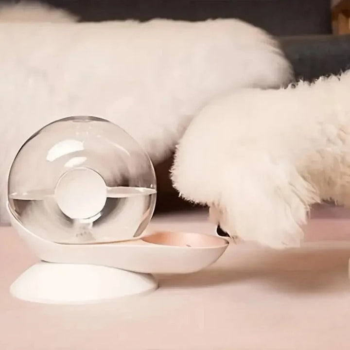 BowLift | Pet Water Fountain Silent Plastic Bowl Dispenser