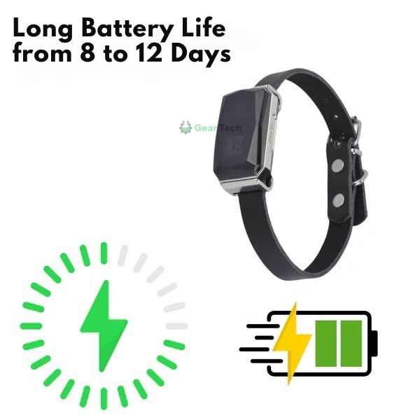 BowLift | GPS Dog Collar | Waterproof, Adjustable & Unlimited Range for Real-Time Tracking