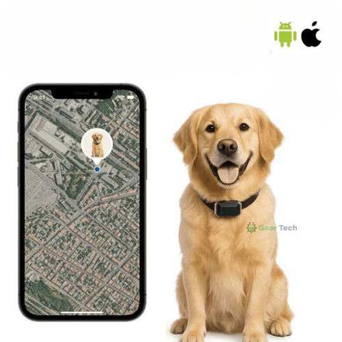 BowLift | GPS Dog Collar | Waterproof, Adjustable & Unlimited Range for Real-Time Tracking