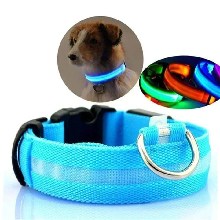 BowLift | GlowPets LED Collar – Safety & Visibility for Pets