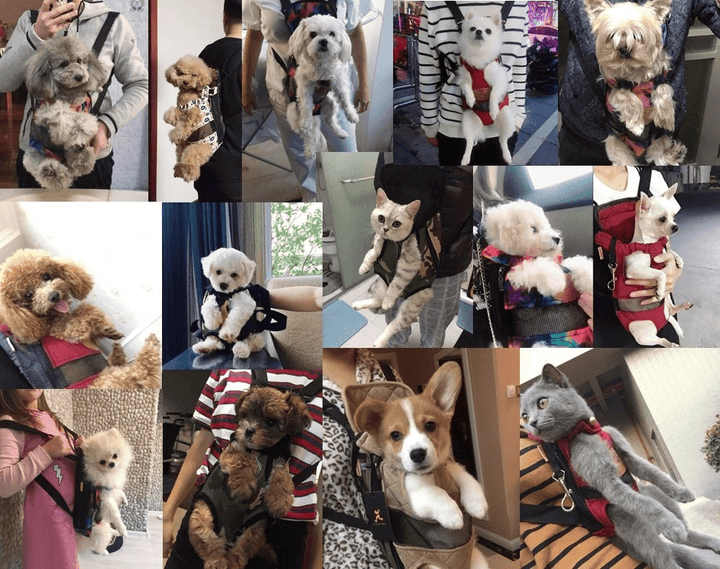 BowLift | TRAVELBUDDY – Breathable Pet Travel Bag with Safety Belt