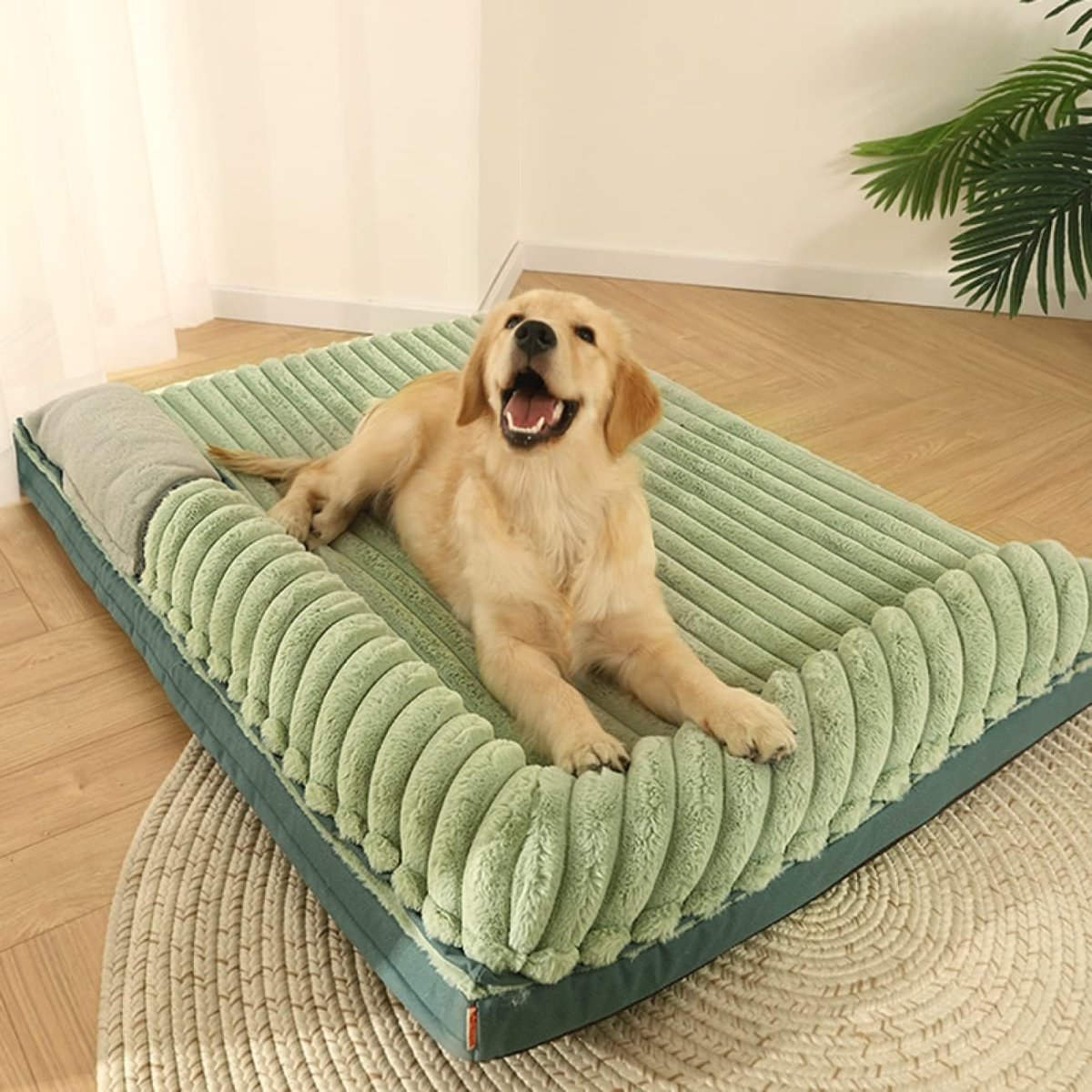 PetCloud • Double Sided Dog Bed - Dog Bed - BowLift