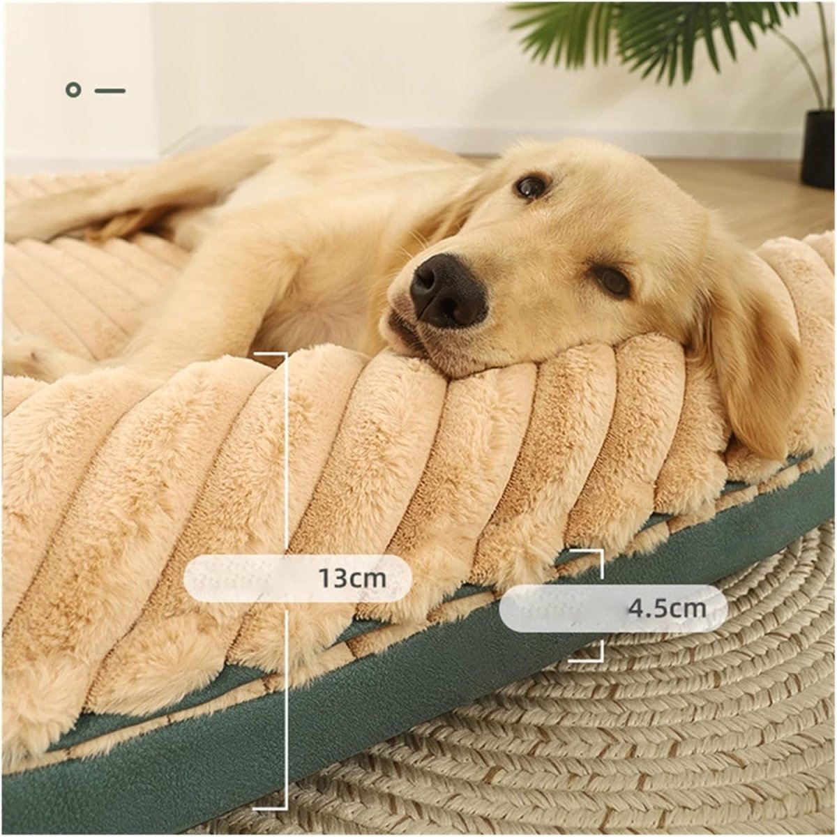 PetCloud • Double Sided Dog Bed - Dog Bed - BowLift