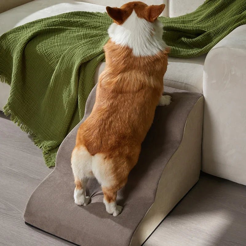 PetComfort• Memory Foam Dog Stairs - Dog Stairs - BowLift