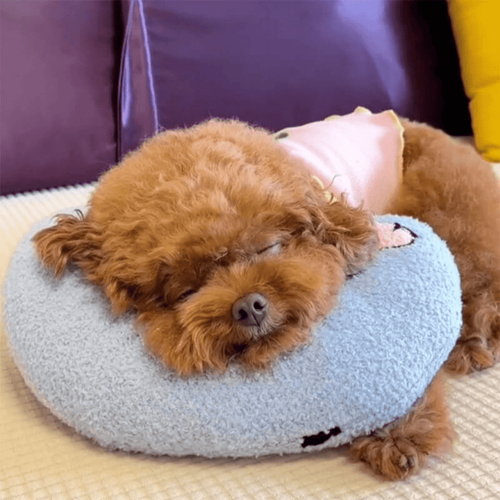 BowLift | PETEASE Luxury – Orthopedic Dog Pillow with Anti-Stress Comfort