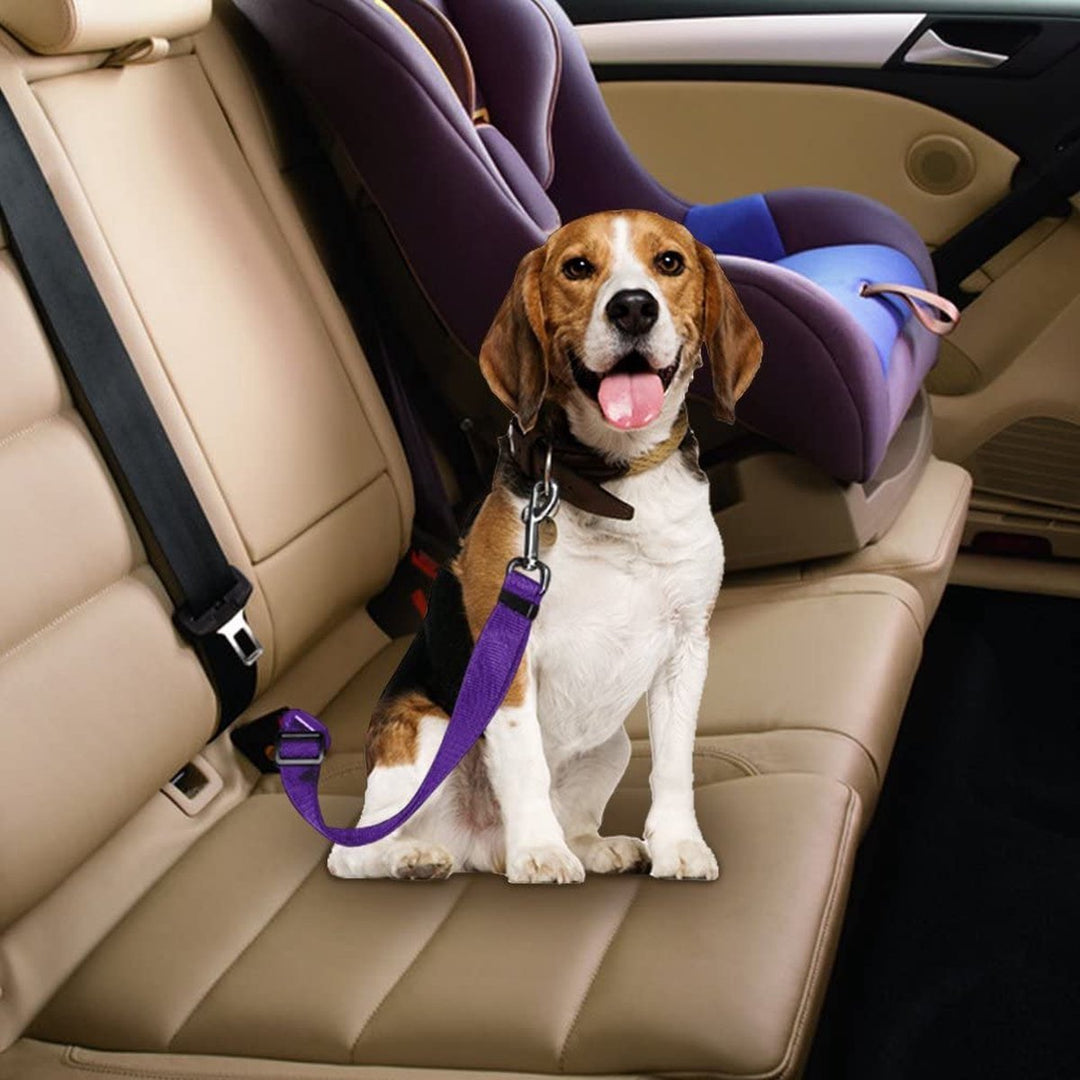 BowLift | PETECURE – Adjustable Dog Seat Belt for Safe Car Travel