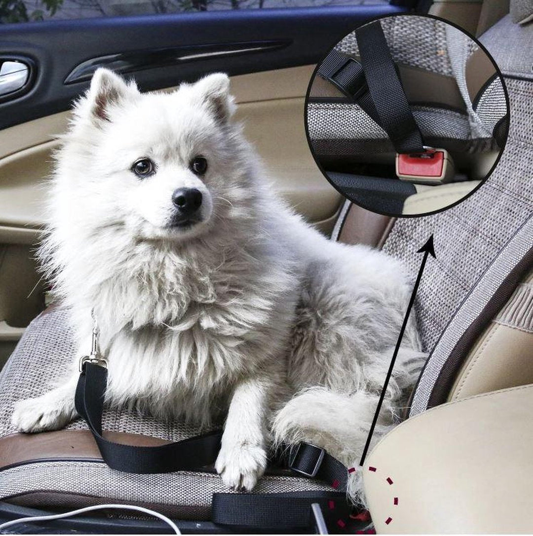 BowLift | PETECURE – Adjustable Dog Seat Belt for Safe Car Travel