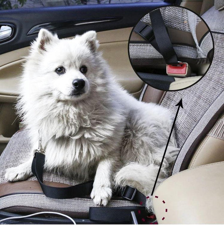 BowLift | PETECURE – Adjustable Dog Seat Belt for Safe Car Travel
