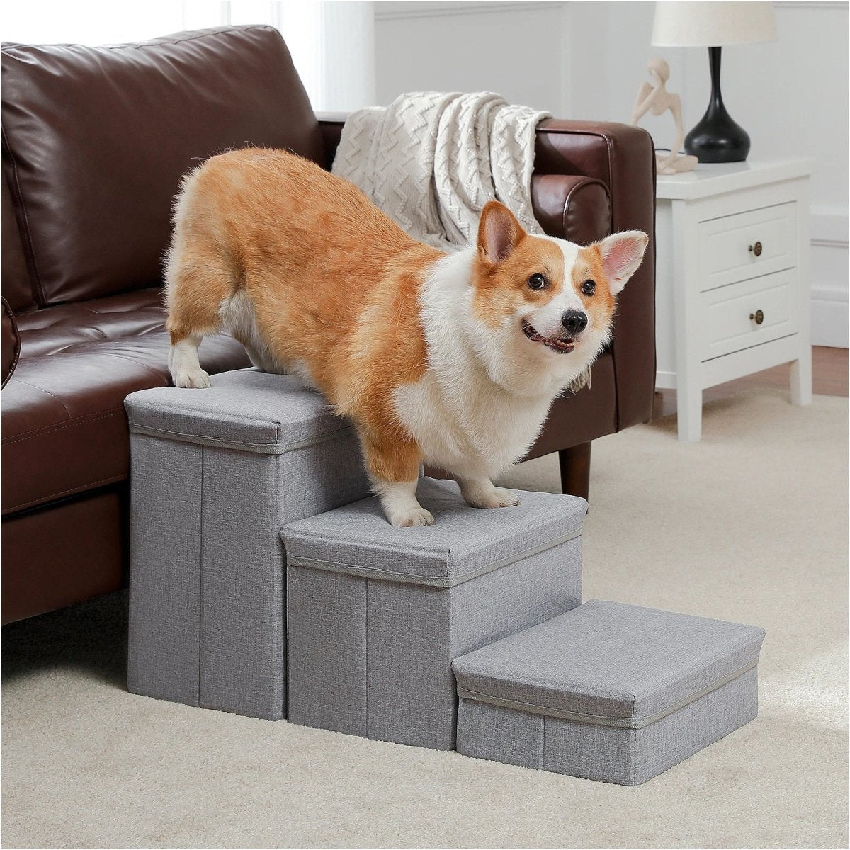 PetLift • 2 - in - 1 Foldable Dog Stairs & Storage Ladder - Dog Stairs - BowLift