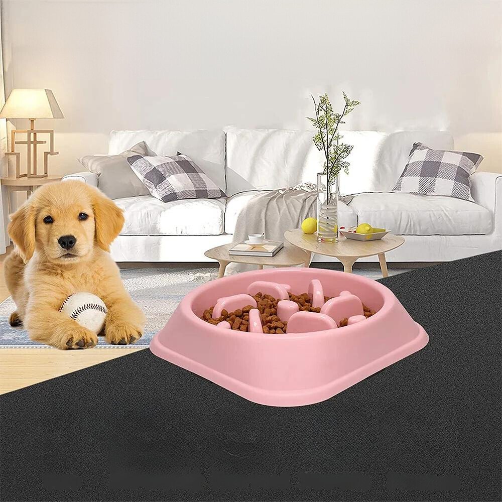 PetPace • Dog Feeding Bowl Slow - Dog Feeding Bowl Slow - BowLift