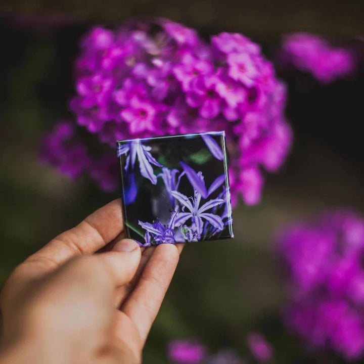Custom Photo Magnets For Memorable Moments | Bowlift