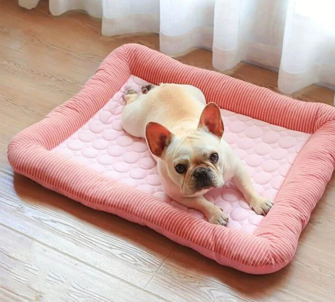Cooling Dog Bed with Ice Silk Material | Bowlift