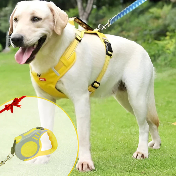 NoPull Dog Harness – WalkEase Bowlift