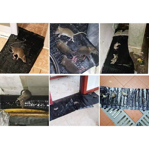 4 Pieces Anti-Rat Large Large Sticky Trap for Rodents Moles Mouse Trap Rat Mouse Trap Black Invisible Mouse Glue Trap - 4 Pieces