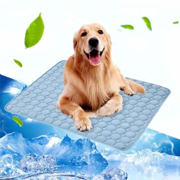 Dog Cooling Mat Summer Pad for Dogs Cat Blanket Breathable Dog Bed Kennel Puppy Sleeping Sofa Cushion Dog Accessories | Bowlift