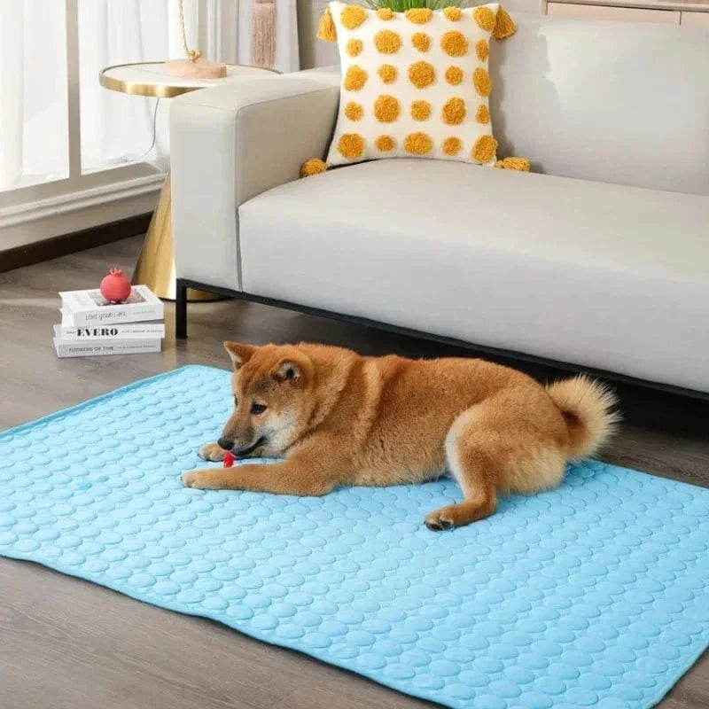 Dog Cooling Pad Ice Silk Fabric Self Cooling Gel Breathable Washable Summer Pet Mat for Dogs Cats Sofa Kennel Bed Comfortable La | Bowlift