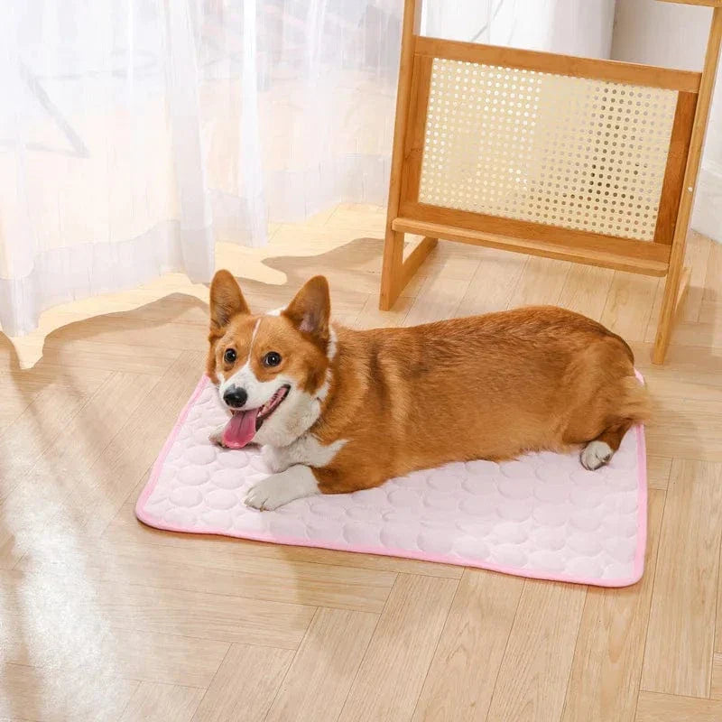 Summer Cooling Pet Mat Gel Ice Pad for Dogs Cats Breathable Soft Kennel Bed Non-Slip Hot Weather Cool Pad Pet Supplies | Bowlift
