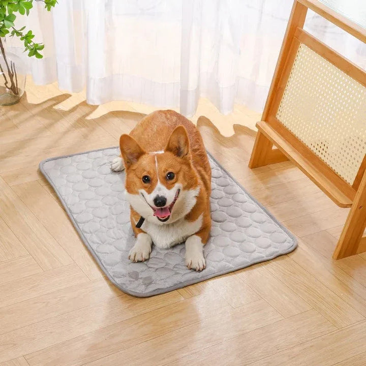 Summer Cooling Pet Mat Gel Ice Pad for Dogs Cats Breathable Soft Kennel Bed Non-Slip Hot Weather Cool Pad Pet Supplies | Bowlift