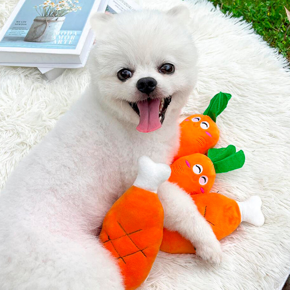 Dog toy – Funny carrot or chicken leg with squeaker | Bowlift