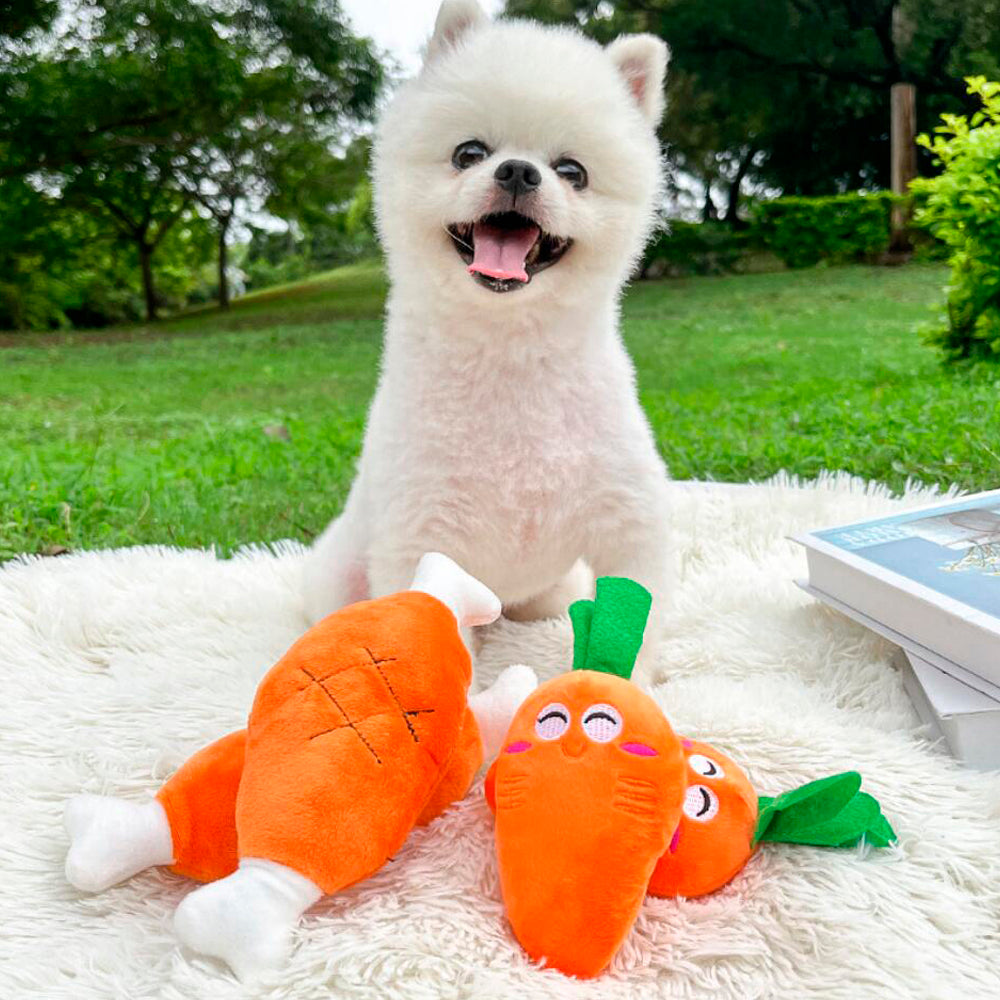 Dog toy – Funny carrot or chicken leg with squeaker | Bowlift