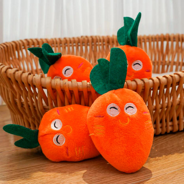 Dog toy – Funny carrot or chicken leg with squeaker | Bowlift