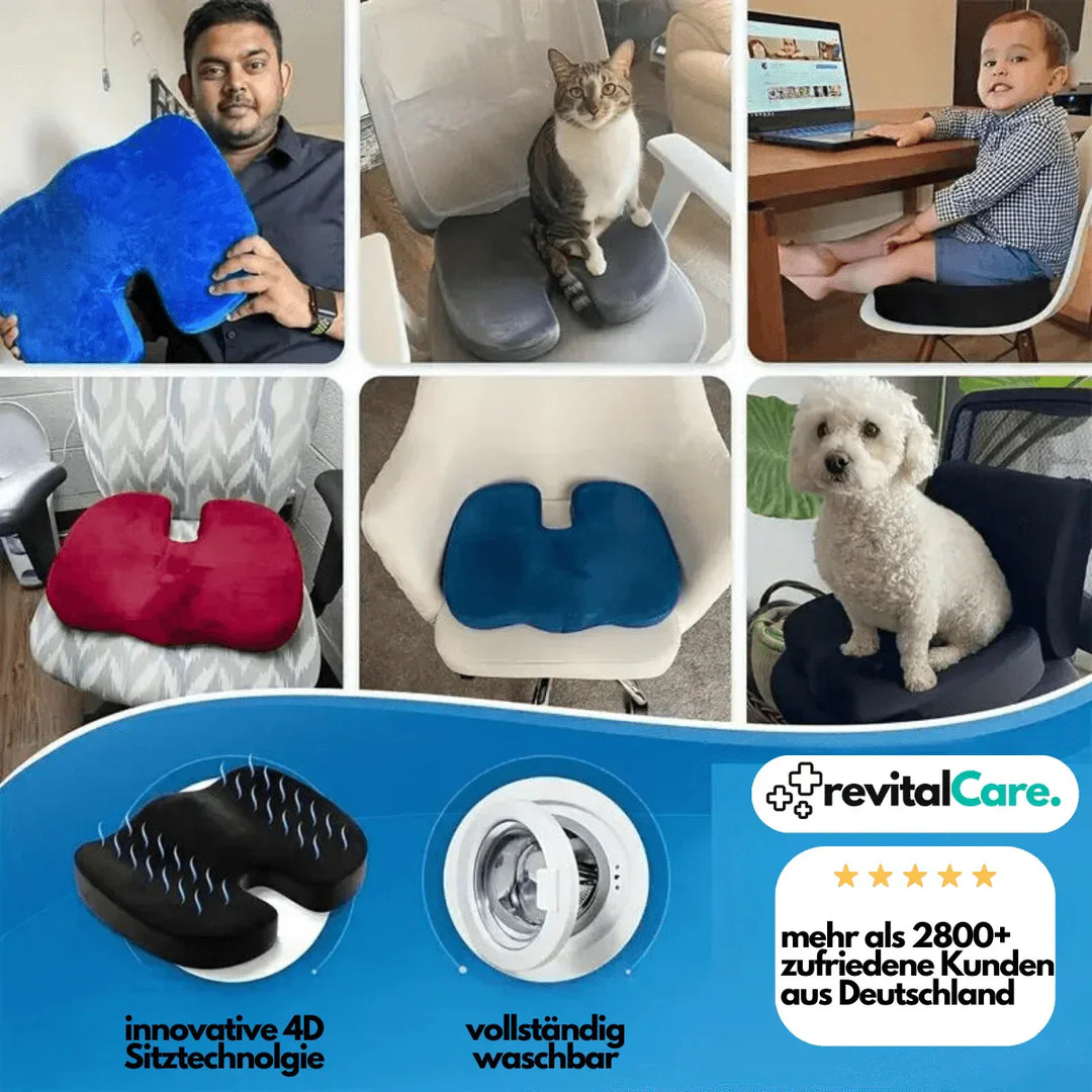 BowLift | PosturePlus Orthopaedic 4D Seat Cushion