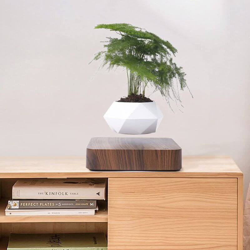BowLift | Magnetic Levitating Flower Pot with LED Light - Floating Planter for Home Decor & Unique Gifts