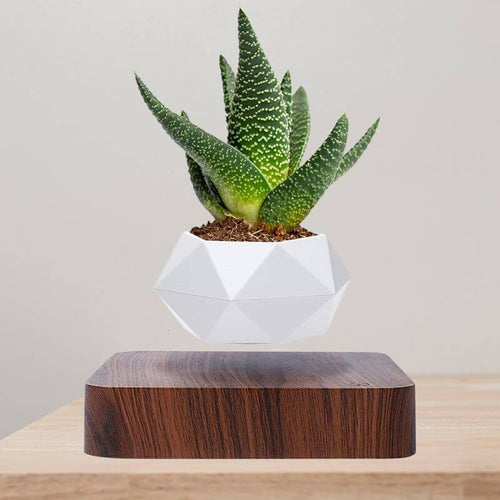 BowLift | Magnetic Levitating Flower Pot with LED Light - Floating Planter for Home Decor & Unique Gifts