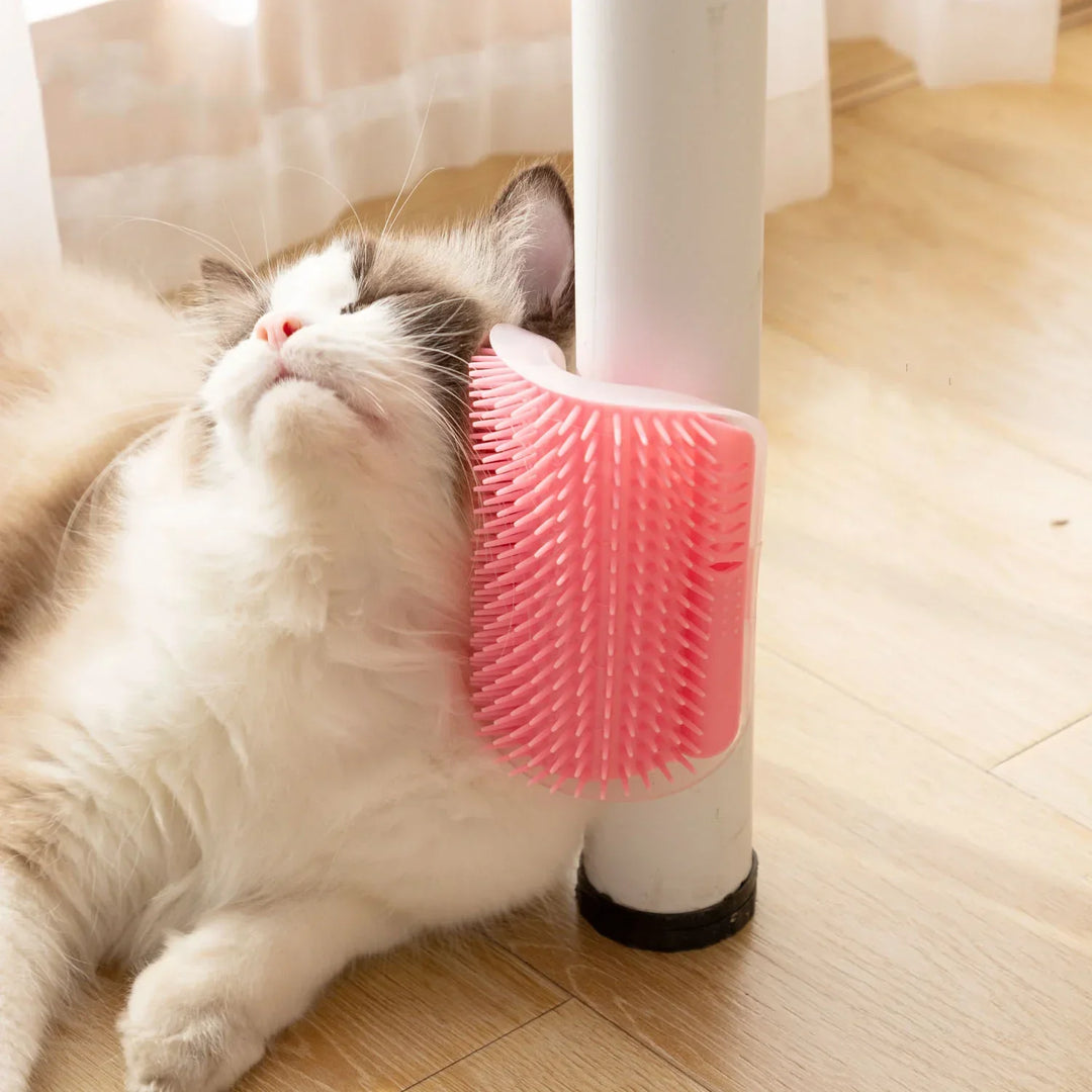 Cat Wall Brush with Catnip Bowlift