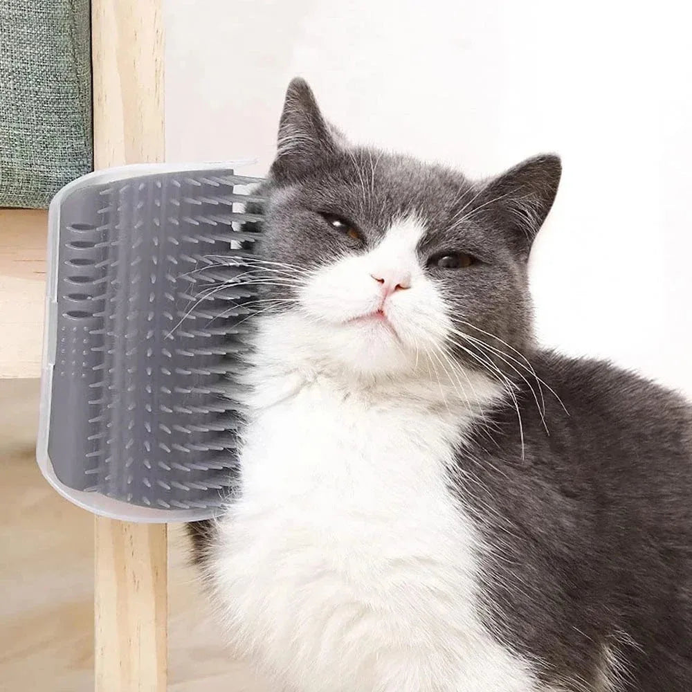 Cat Wall Brush with Catnip Bowlift