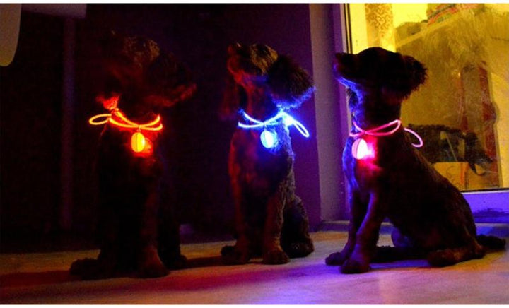 LED Flash Dog Collar Pendant | Bowlift