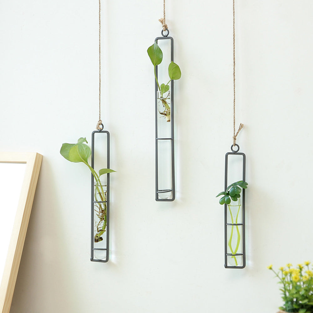 Iron Transparent Wall Hanging Flower Pot | Bowlift