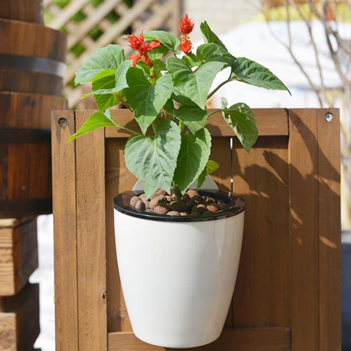 InstanWater - Self Watering Hanging Planter | Bowlift