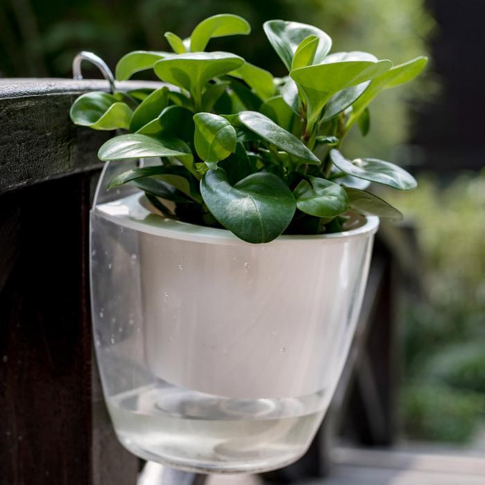 InstanWater - Self Watering Hanging Planter | Bowlift