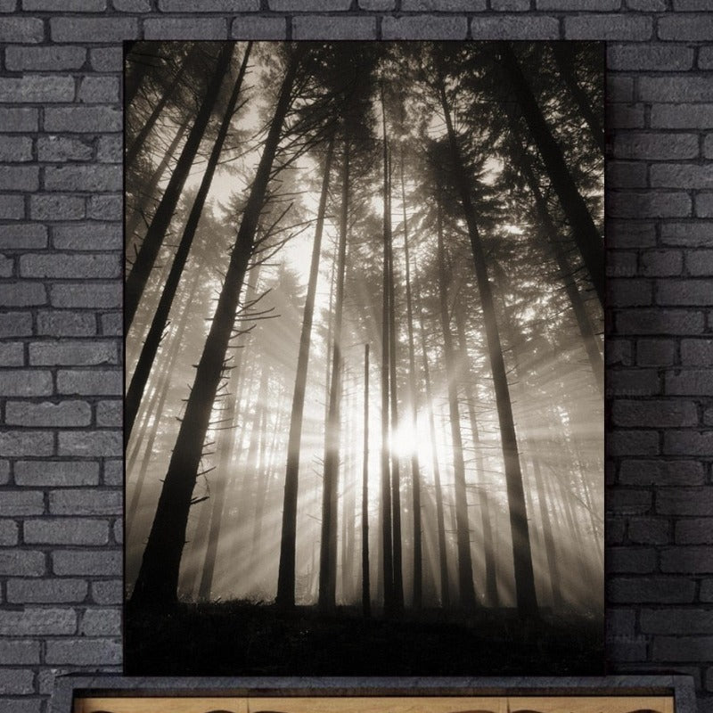 Forest Sunshine Scene  - Canvas Wall Art Painting | Bowlift