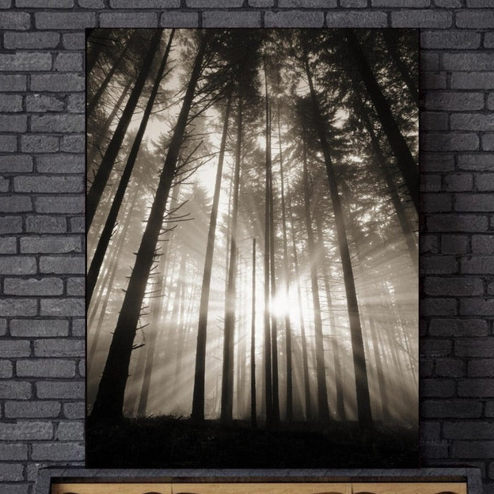 Forest Sunshine Scene  - Canvas Wall Art Painting | Bowlift