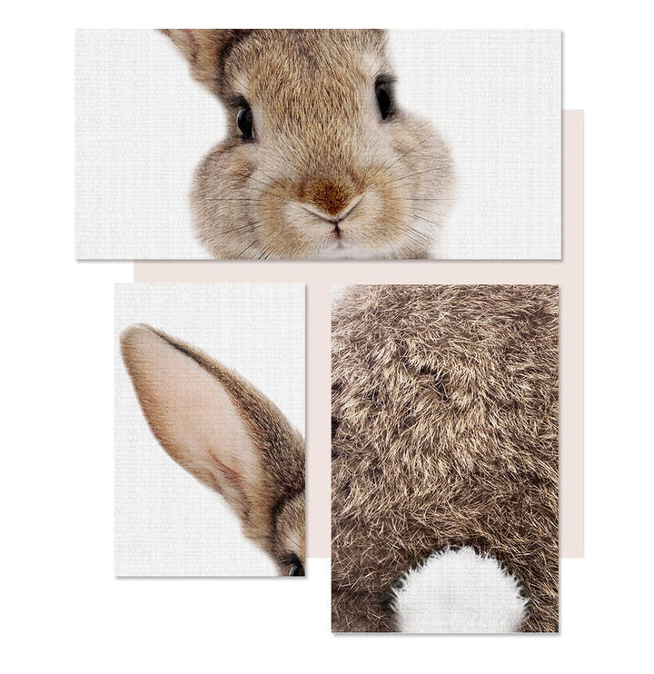 Rabbit BunnyTail Woodland Animal - Canvas Wall Art Painting | Bowlift