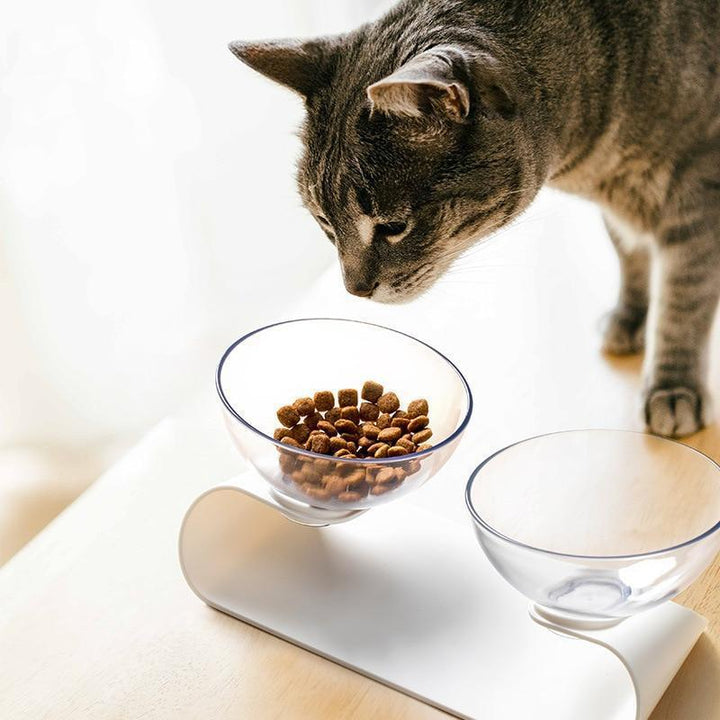 Raised Small Pet Bowls | Bowlift
